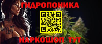 индика Рыбинск