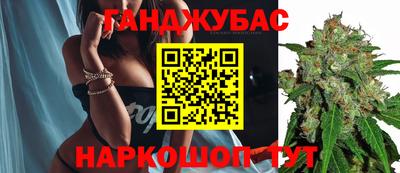 индика Рыбинск