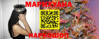 индика Рыбинск