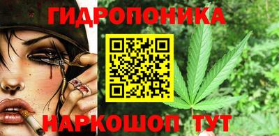 индика Рыбинск