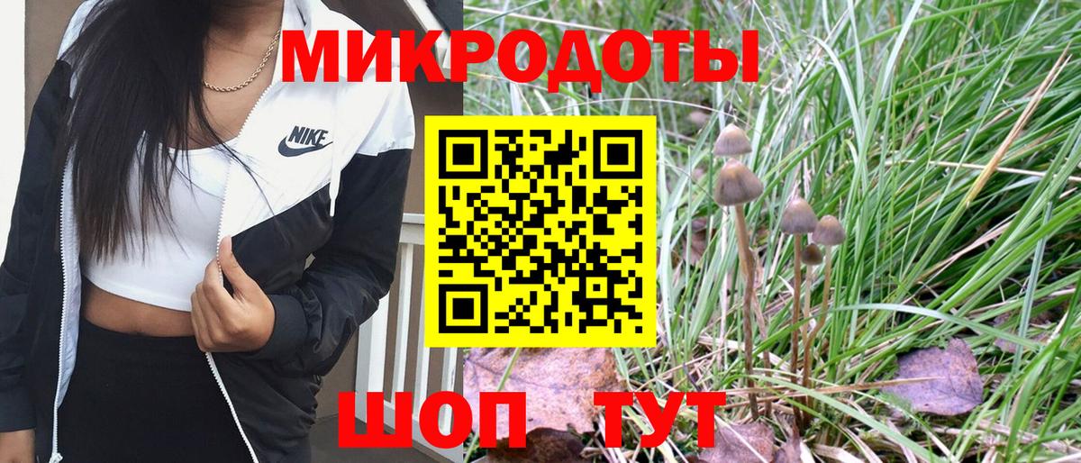 Галлюциногенные грибы Psilocybe Арсеньев